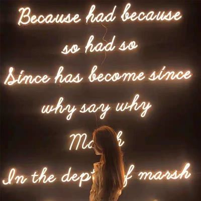 Taille personnalisée LED Neon Sign Light pour la décoration intérieure
