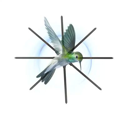 42 cm 52 cm 65 cm 70 cm 100 cm Écran de projecteur Led 3D Hologram Fan pour les annonces dans le magasin
