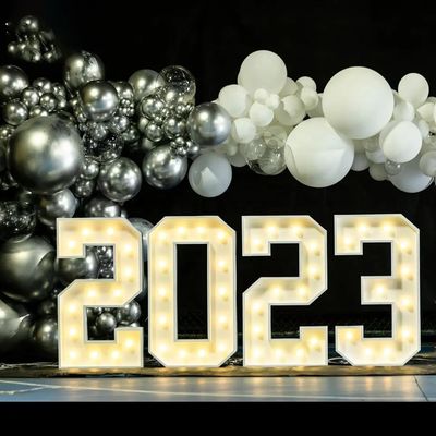 12V LED Caractères lumineux Lettres de l'alphabet métallique pour le signe acrylique Lettres du canal