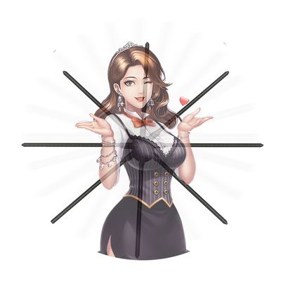 Affichage holographique 3D haute résolution 150 cm Protecteur d'écran holographique pour les fournisseurs ODM